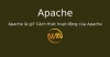 Apache là gì? Cách thức hoạt động của Apache