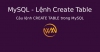 Câu lệnh CREATE TABLE trong MySQL