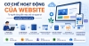 Cơ chế hoạt động của Website