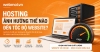 Hosting Ảnh Hưởng Thế Nào Đến Tốc Độ Website?