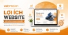 Lợi Ích Website Đối Với Doanh Nghiệp