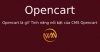 Opencart là gì? Tính năng nổi bật của CMS Opencart