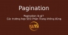 Pagination là gì? Các trường hợp SEO Phân Trang không đúng