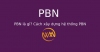 PBN là gì? Cách xây dựng hệ thống PBN