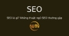 SEO là gì? Những thuật ngữ SEO thường gặp