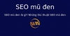 SEO mũ đen là gì? Những thủ thuật SEO mũ đen