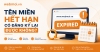 Tên miền hết hạn có đăng ký lại được không?