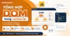 Tổng hợp DOM trong JavaScript từ A-Z