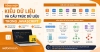 Tổng hợp kiểu dữ liệu và cấu trúc dữ liệu trong JavaScript
