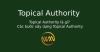 Topical Authority là gì? Các bước xây dựng Topical Authority