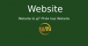 Website là gì? Phân loại Website