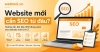 Website mới cần SEO từ đâu? Cách bắt đầu đúng