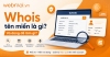 Whois tên miền là gì và dùng để làm gì?