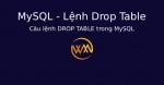 Câu lệnh DROP TABLE trong MySQL