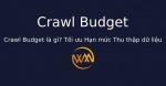 Crawl Budget là gì? Tối ưu Hạn mức Thu thập dữ liệu