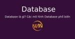Database là gì? Các mô hình Database phổ biến