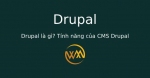 Drupal là gì? Tính năng của CMS Drupal
