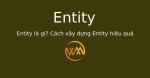 Entity là gì? Cách xây dựng Entity hiệu quả