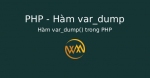 Hàm var_dump() trong PHP