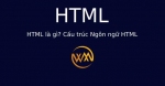HTML là gì? Cấu trúc Ngôn ngữ HTML