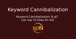 Keyword Cannibalization là gì? Các loại Từ khóa Ăn thịt