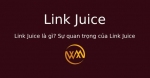 Link Juice là gì? Sự quan trọng của Link Juice