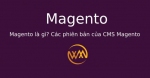 Magento là gì? Các phiên bản của CMS Magento