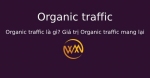 Organic traffic là gì? Giá trị Organic traffic mang lại