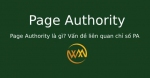 Page Authority là gì? Vấn đề liên quan chỉ số PA