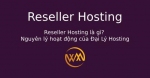Reseller Hosting là gì? Nguyên lý hoạt động của Đại Lý Hosting