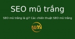 SEO mũ trắng là gì? Các chiến thuật SEO mũ trắng