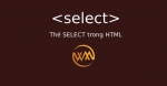 Thẻ SELECT trong HTML