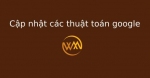 Cập nhật các thuật toán google