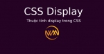 Thuộc tính display trong CSS