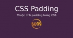 Thuộc tính padding trong CSS