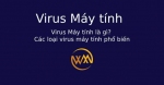 Virus Máy tính là gì? Các loại virus máy tính phổ biến