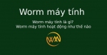 Worm máy tính là gì? Worm máy tính hoạt động như thế nào