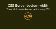 Thuộc tính border-bottom-width trong CSS