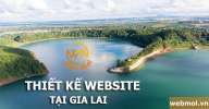 Thiết kế website tại Gia Lai chuẩn SEO
