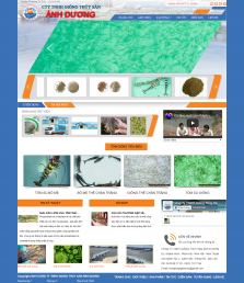 Thiết kế web Tôm giống WM 02