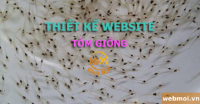 Thiết kế website Tôm giống