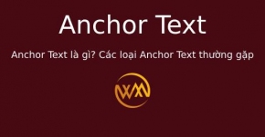 Anchor Text là gì? Các loại Anchor Text thường gặp