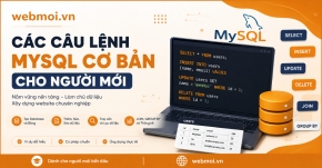 Các Câu Lệnh MySQL Cơ Bản Cho Người Mới