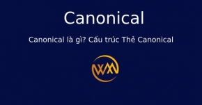 Canonical là gì? Cấu trúc Thẻ Canonical