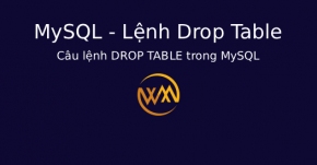 Câu lệnh DROP TABLE trong MySQL