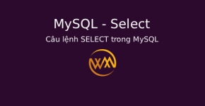 Câu lệnh SELECT trong MySQL