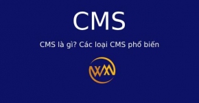 CMS là gì? Các loại CMS phổ biến