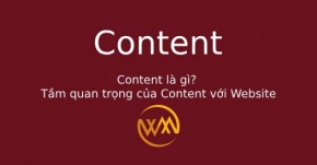 Content là gì? Tầm quan trọng của Content với Website