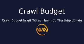 Crawl Budget là gì? Tối ưu Hạn mức Thu thập dữ liệu