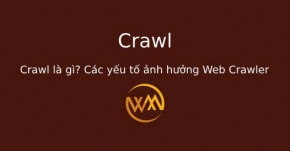 Crawl là gì? Các yếu tố ảnh hưởng Web Crawler
